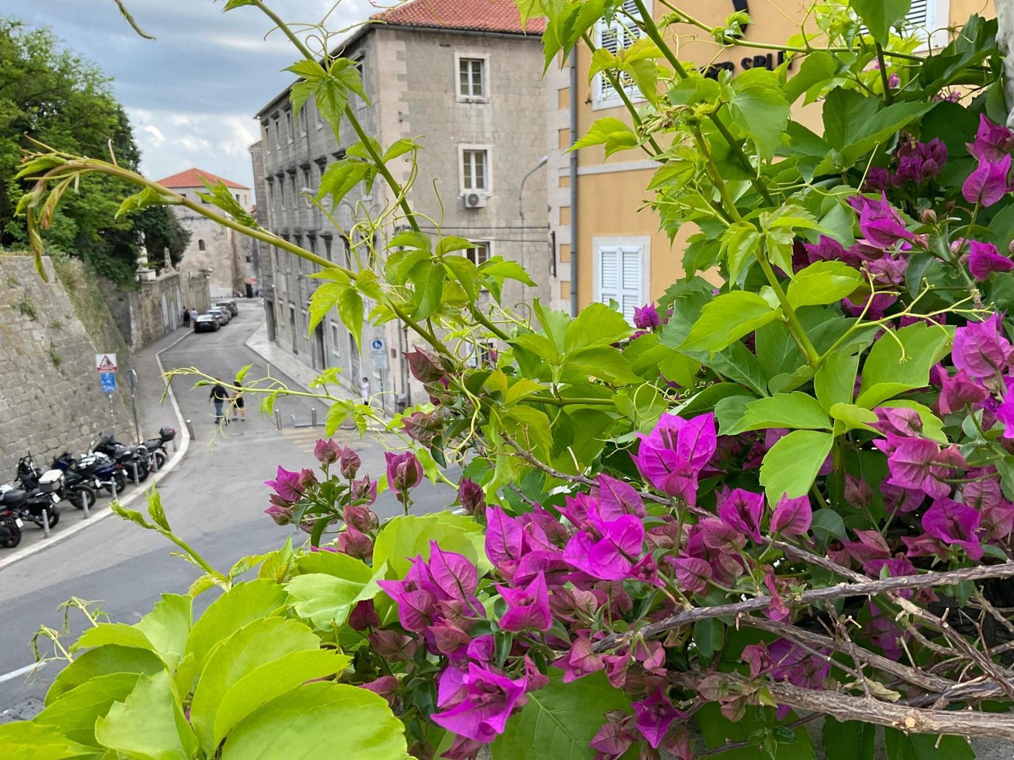 Terrace Suites-split